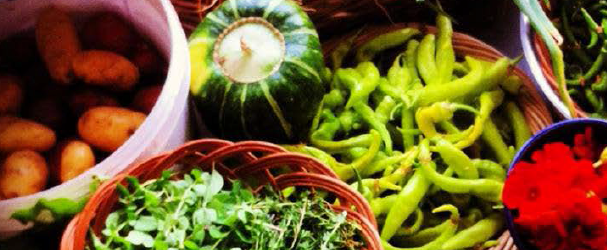 farmers market screen shot