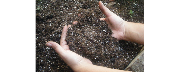 dirt