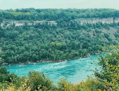 History of Niagara’s Economic Development in a Changing World