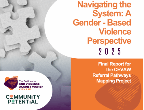 Strengthening Niagara’s Gender-Based Violence Response Through Collaboration and System Mapping