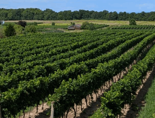 Changing the Narrative: Unlocking the Economic Assets of Niagara in a Changing World