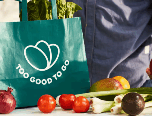 The Cost of Confusion: How Label Knowledge and Risk Attitude Shape Household Food Waste