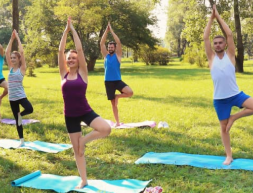 Strengthening the Recreation and Sports Sector of the Living in Niagara Report