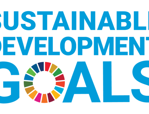 2025 Progress Report on Canada’s 2022 to 2026 Federal Sustainable Development Strategy