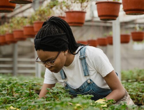 Gendered Perspectives on Mental Health Among Canadian Farmers